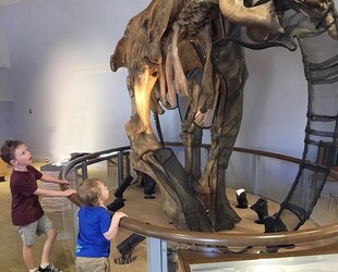 DISCOVERY AT THE CHILDREN'S DISCOVERY MUSEUM